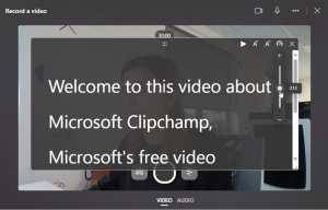 Microsoft Clipchamp Standard (1 user License)